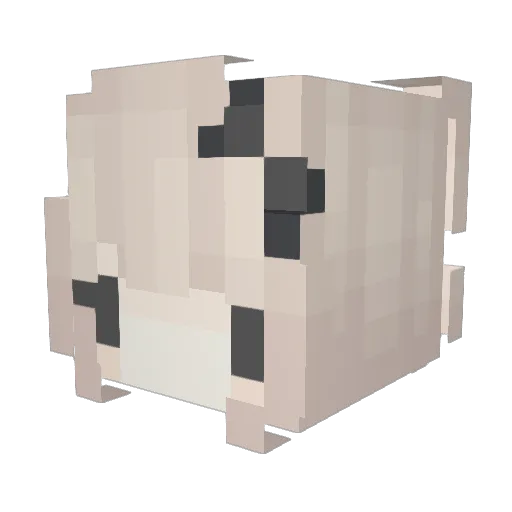 liiveleakk Minecraft avatar head, 3D render