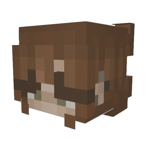 likeleaves_ Minecraft avatar head, 3D render