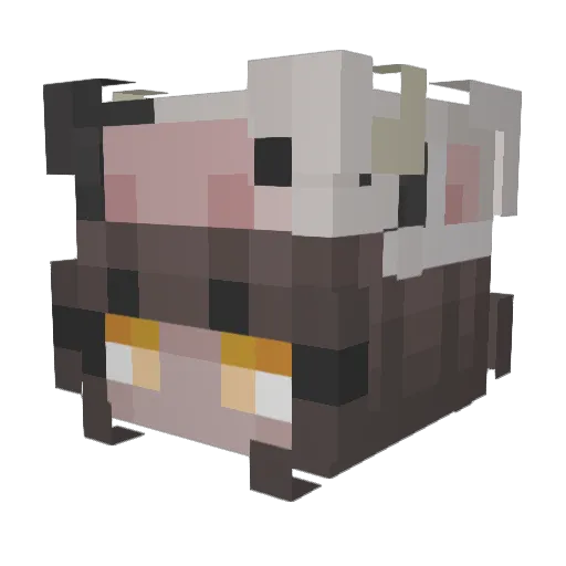 lil0ravioli Minecraft avatar head, 3D render