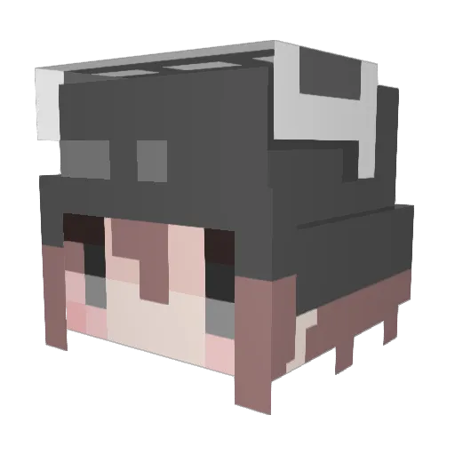 lil1li Minecraft avatar head, 3D render