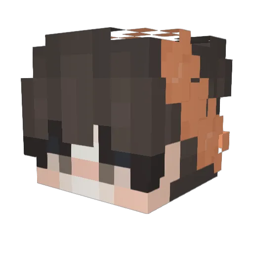 lil Minecraft avatar head, 3D render