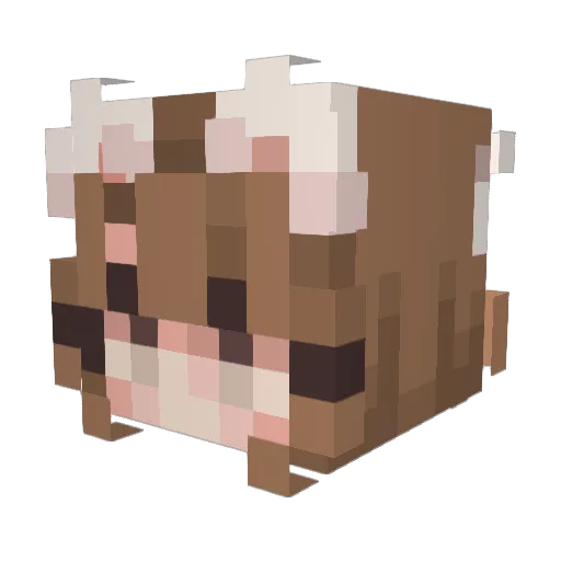 lilBemelg Minecraft avatar head, 3D render