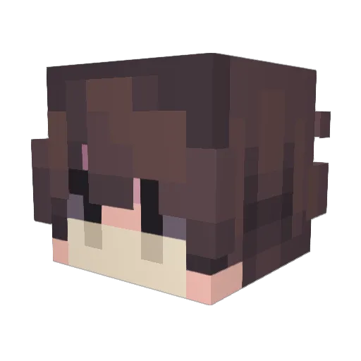 lilFish08 Minecraft avatar head, 3D render