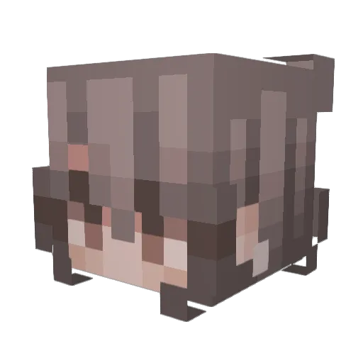 lilLoki22 Minecraft avatar head, 3D render
