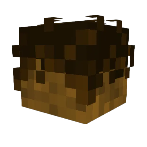 lilROACH2 Minecraft avatar head, 3D render