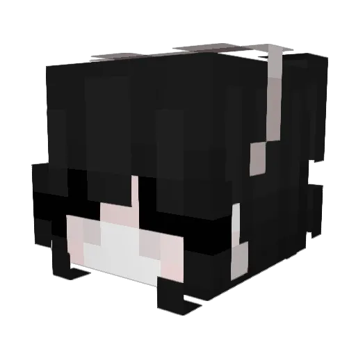 lilSugarCube Minecraft avatar head, 3D render