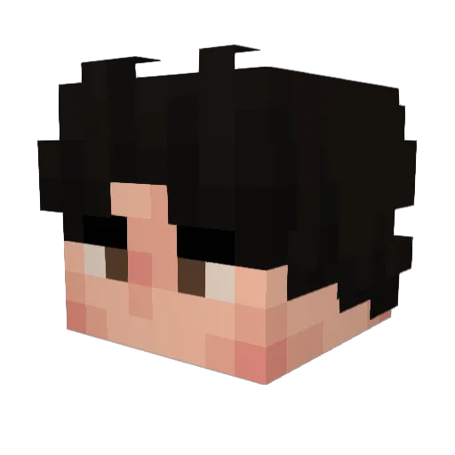lilTetsu Minecraft avatar head, 3D render