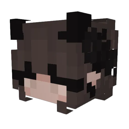 lilTsiken Minecraft avatar head, 3D render