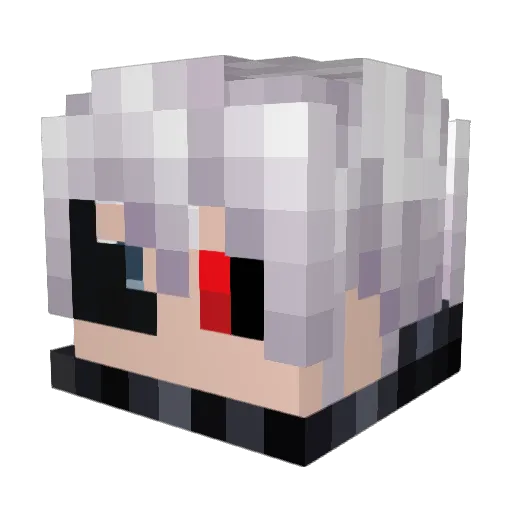 lil_Miner25 Minecraft avatar head, 3D render