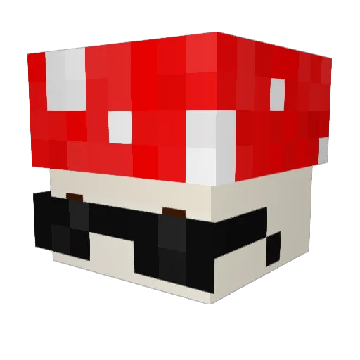 lil_Rodys Minecraft avatar head, 3D render