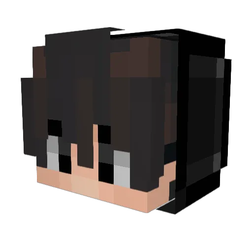 lil_Shrimp_2006 Minecraft avatar head, 3D render