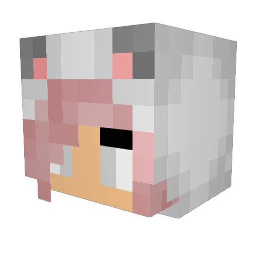 lil_Sprinkle Minecraft avatar head, 3D render