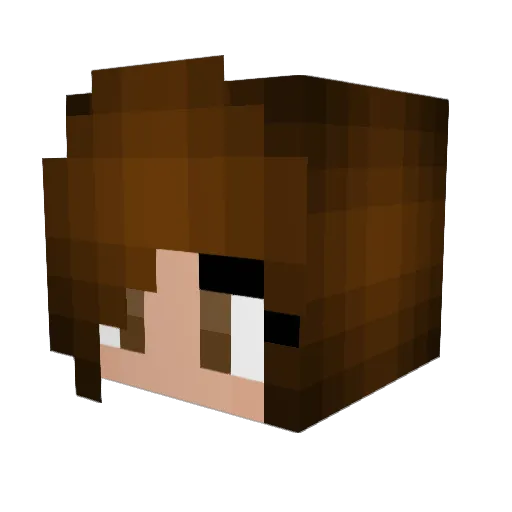 lil_T_22 Minecraft avatar head, 3D render