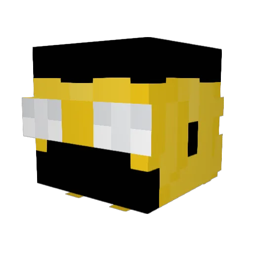 lil_Thing Minecraft avatar head, 3D render