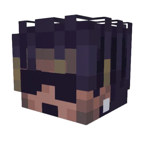 lil__winnie Minecraft avatar head, 3D render