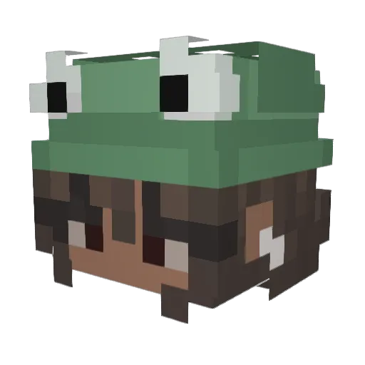 lil_bion Minecraft avatar head, 3D render