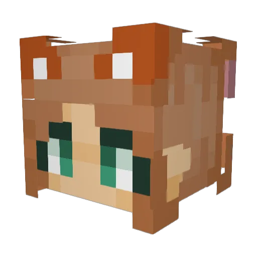 lil_ducko69 Minecraft avatar head, 3D render
