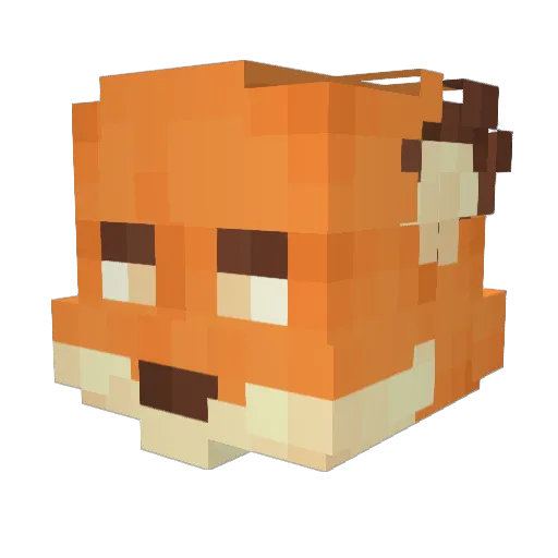 lil_fox Minecraft avatar head, 3D render