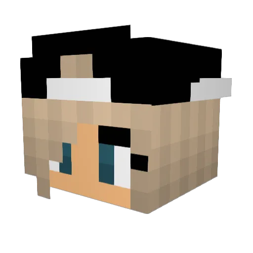lil_fox_ Minecraft avatar head, 3D render