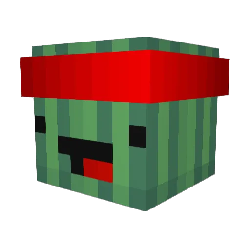 lil_fryser Minecraft avatar head, 3D render