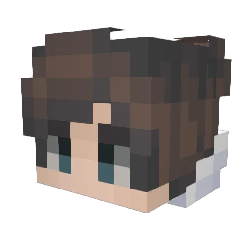 lil_german_boy Minecraft avatar head, 3D render