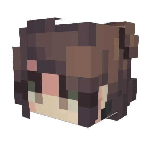 lil_gonz Minecraft avatar head, 3D render