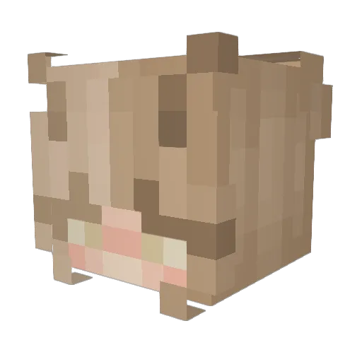 lil_hm99 Minecraft avatar head, 3D render