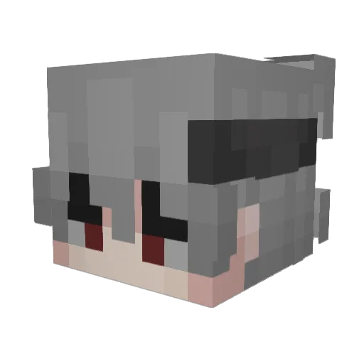 lil_ibeeZz Minecraft avatar head, 3D render