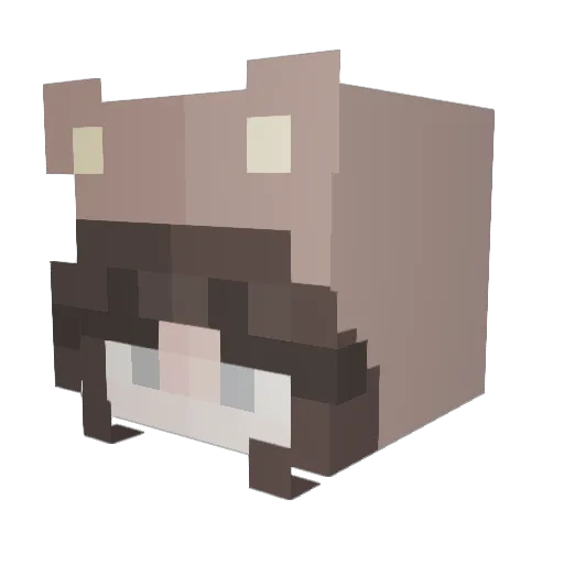 lil_lala1 Minecraft avatar head, 3D render