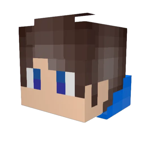 lil_meatball2 Minecraft avatar head, 3D render