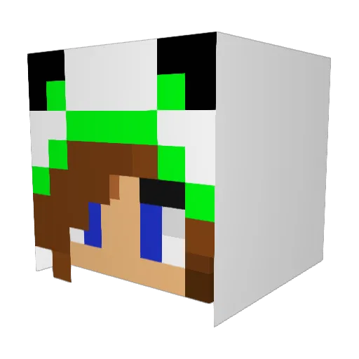 lil_monster_72 Minecraft avatar head, 3D render