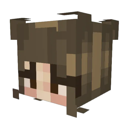lil_nuggie0117 Minecraft avatar head, 3D render