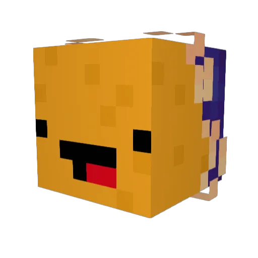 lil_nuggie_ Minecraft avatar head, 3D render