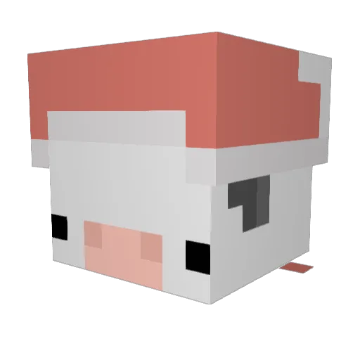 lil_oat Minecraft avatar head, 3D render