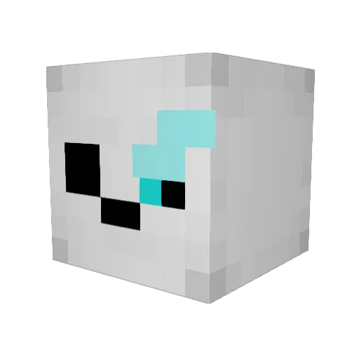 lil_panini420 Minecraft avatar head, 3D render