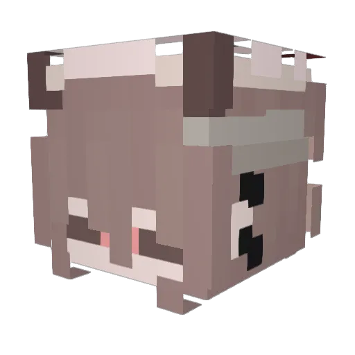lil_potatooo Minecraft avatar head, 3D render
