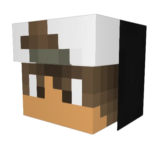 lil_qui Minecraft avatar head, 3D render