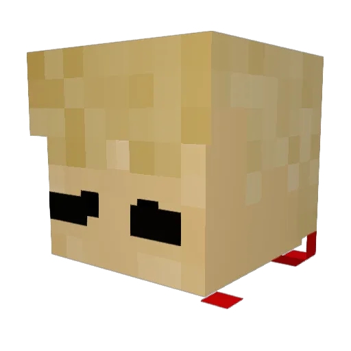 lil_snek123 Minecraft avatar head, 3D render