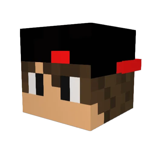 lil_star_10 Minecraft avatar head, 3D render