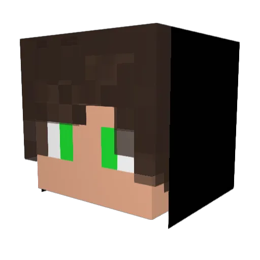 lil_tia Minecraft avatar head, 3D render