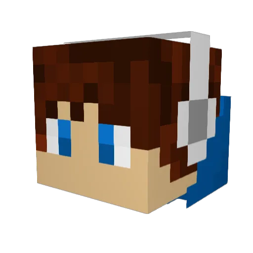 lil_tuck_3000 Minecraft avatar head, 3D render