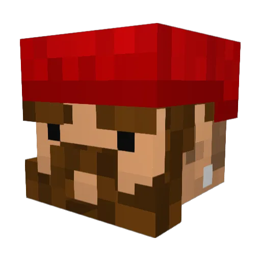 lil_ware Minecraft avatar head, 3D render