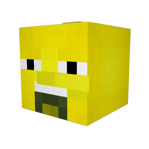 lil_won Minecraft avatar head, 3D render
