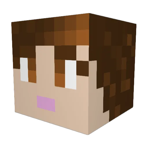 lil_yeet Minecraft avatar head, 3D render