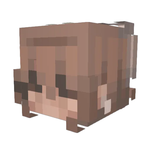 lilacbunni Minecraft avatar head, 3D render