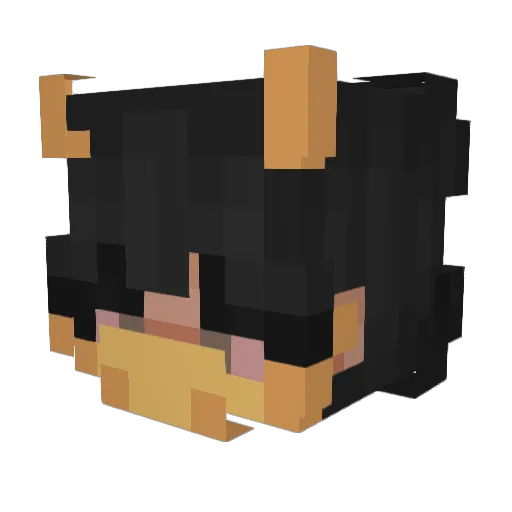 lilappie Minecraft avatar head, 3D render