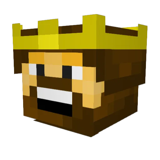 lilbagboy Minecraft avatar head, 3D render
