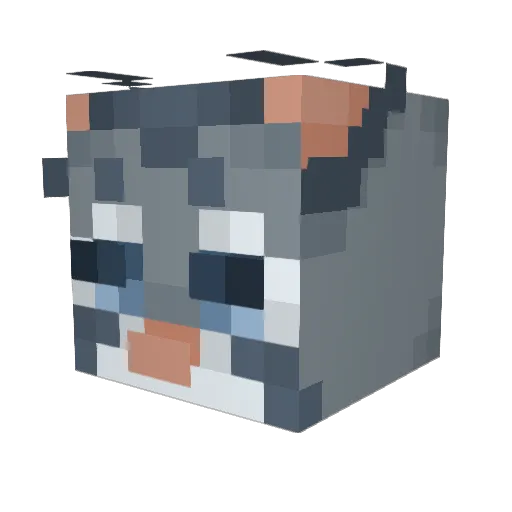 lilbassy Minecraft avatar head, 3D render
