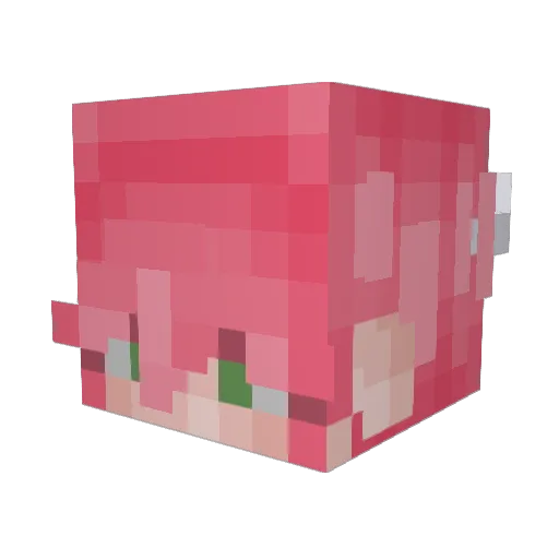 lilbeachh Minecraft avatar head, 3D render
