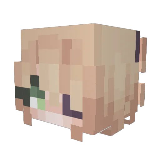 lilbih3112 Minecraft avatar head, 3D render